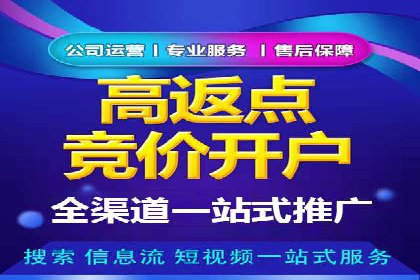 Sem优化公司案例：优化方案定制服务