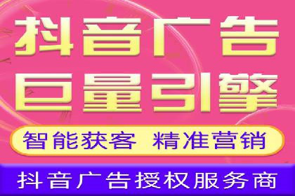 短视频平台的SEM推广实践与效果